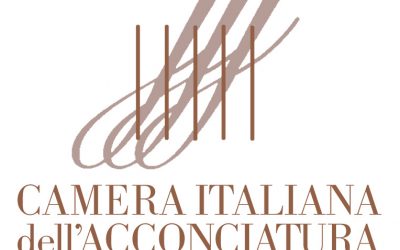 Camera Italiana dell’Acconciatura – POSITION PAPER